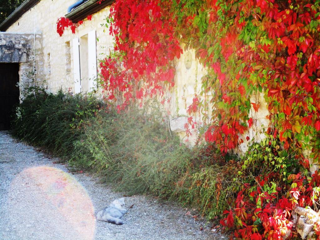 Gites Coeur De Lot Soucirac Exterior foto